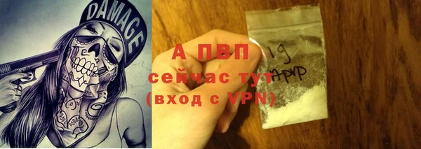 трава Абаза