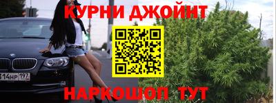 трава Новозыбков