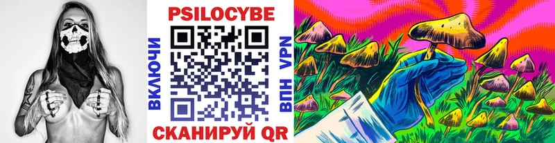 купить наркотики сайты  Волоколамск  Псилоцибиновые грибы Psilocybine cubensis 