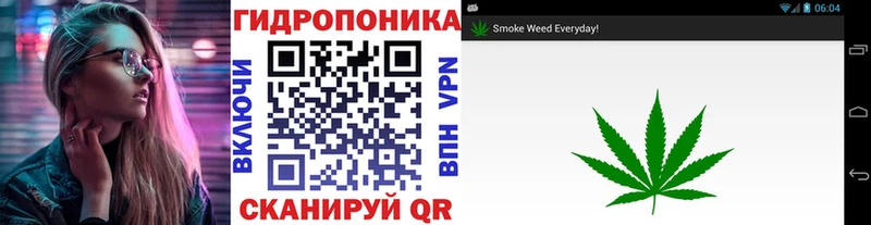 Бошки Шишки THC 21%  где можно купить   Волоколамск 